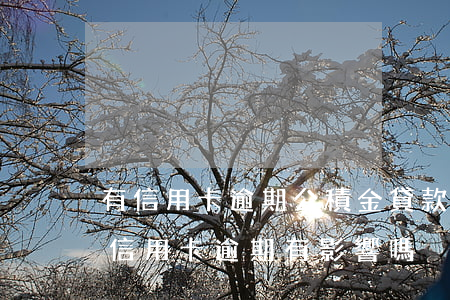 有信用卡逾期公積金貸款嗎(住房公積金貸款信用卡逾期有影響嗎)