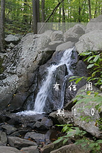 有信用卡逾期十幾年的嗎(信用卡2000逾期10年)