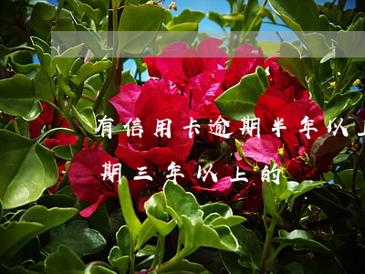 有信用卡逾期半年以上的吗(有没有信用卡逾期三年以上的)
