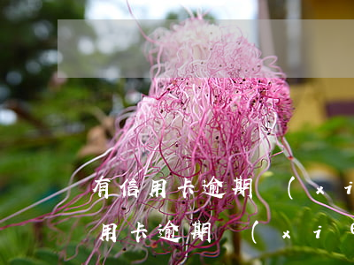 有信用卡逾期協(xié)商免息的嗎(有信用卡逾期協(xié)商免息的嗎)