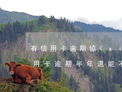 有信用卡逾期協(xié)商成功的嗎(欠信用卡逾期半年還能不能協(xié)商)