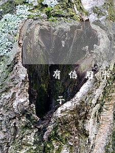 有信用卡逾期可以下的網(wǎng)貸口子
