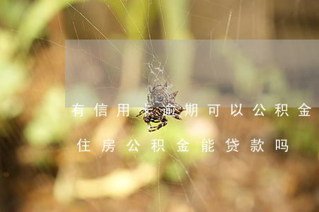有信用卡逾期可以公积金贷款吗（信用卡逾期住房公积金能贷款吗）