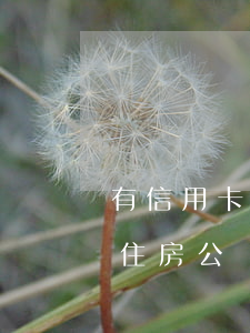 有信用卡逾期可以公積金貸款嗎（信用卡逾期住房公積金能貸款嗎）