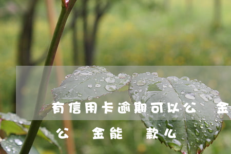 有信用卡逾期可以公積金貸款嗎（信用卡逾期公積金能貸款么）