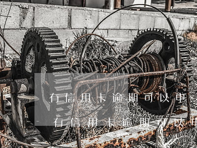 有信用卡逾期可以申請(qǐng)車貸嗎（有信用卡逾期可以申請(qǐng)車貸嗎）