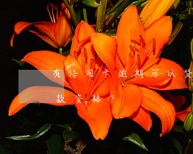 有信用卡逾期可以贷款买房吗？如何查询贷款资格？