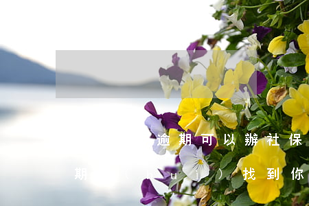 有信用卡逾期可以辦社保嗎（交社保信用卡逾期會(huì)找到你人嗎）