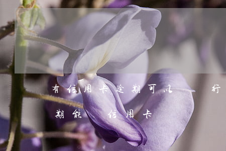 有信用卡逾期可以辦銀行卡嗎（銀行貸款有逾期能辦信用卡嗎）