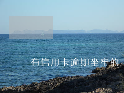 有信用卡逾期坐牢的嗎(信用卡逾期 坐牢)
