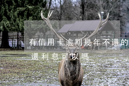 有信用卡逾期幾年不還的嗎（信用卡逾期不想還利息可以嗎）