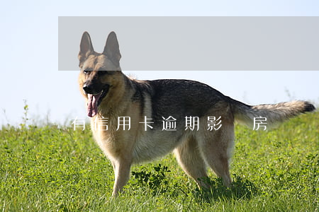 有信用卡逾期影響房貸嗎(信用卡逾期 房貸影響)