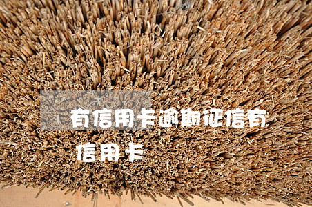 有信用卡逾期征信有問題沒(征信有逾期辦理信用卡)