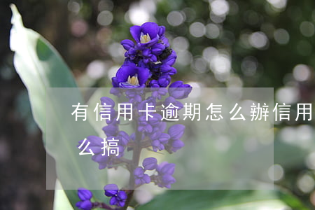 有信用卡逾期怎么辦（信用卡逾期了還不上怎么搞）