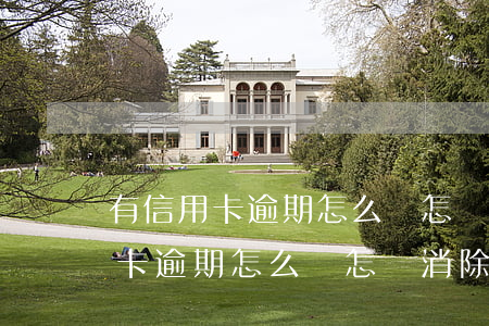 有信用卡逾期怎么辦怎樣消除征信-有信用卡逾期怎么辦怎樣消除征信記錄