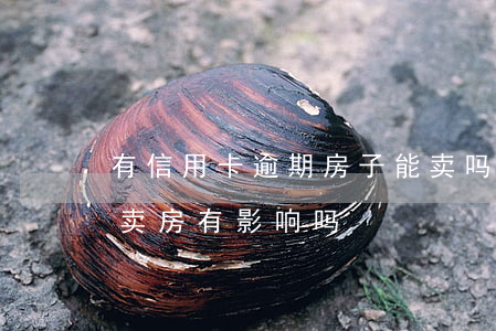 有信用卡逾期房子能卖吗(信用卡逾期中对我卖房有影响吗)