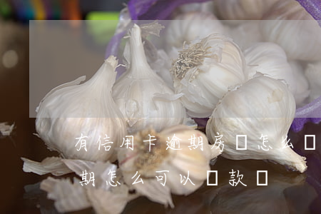 有信用卡逾期房貸怎么辦理(買房子信用卡逾期怎么可以貸款嗎)