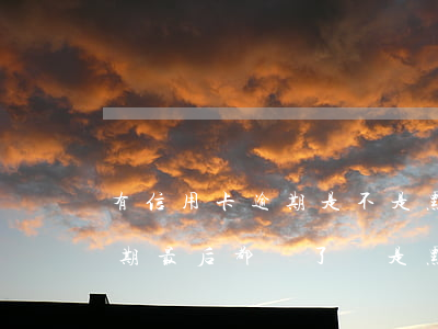 有信用卡逾期是不是黑戶(貸款逾期信用卡逾期最后都還了會是黑戶嗎)