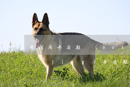 有信用卡逾期會(huì)消失嗎 信用卡 曾經(jīng)有逾期 影響