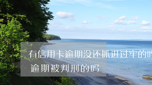 有信用卡逾期没还抓进过牢的吗-有信用卡逾期被判刑的吗