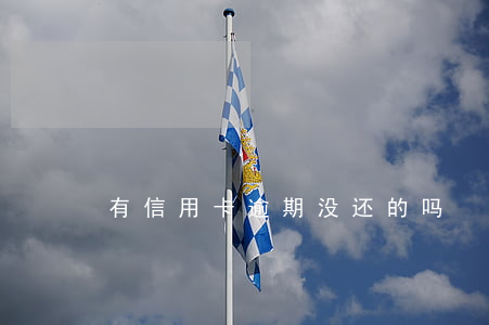有信用卡逾期没还的吗