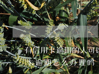 有信用卡逾期的人,可以出国吗（人在国外信用卡逾期怎么办理吗）