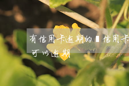 有信用卡逾期的嗎（信用卡現(xiàn)在可以逾期）