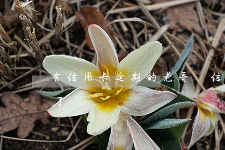 有信用卡逾期的老哥嗎(信用卡逾期這輩子完了)