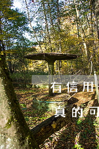 有信用卡逾期真的可以包裝嗎 有信用卡逾期真的可以包裝嗎