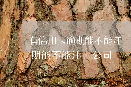 有信用卡逾期能不能注冊公司-有信用卡逾期能不能注冊公司