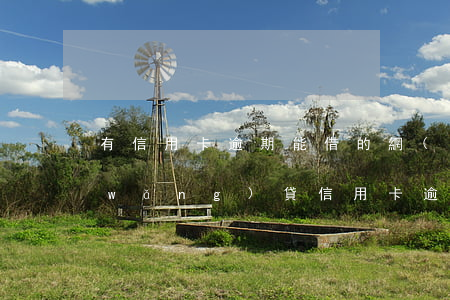 有信用卡逾期能借的網(wǎng)貸(網(wǎng)貸信用卡逾期還能借的貸款)