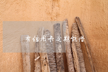 有信用卡逾期能借還唄嗎(有信用卡逾期能借還唄嗎)