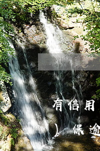 有信用卡逾期能當(dāng)擔(dān)保(逾期影響擔(dān)保人信用嗎)