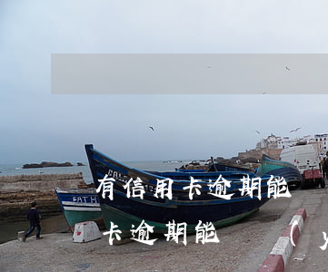 有信用卡逾期能辦優(yōu)盾嗎（有信用卡逾期能辦優(yōu)盾嗎）