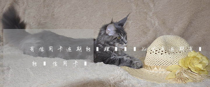 有信用卡逾期能辦理車貸嗎(征信有逾期有車能辦信用卡嗎)