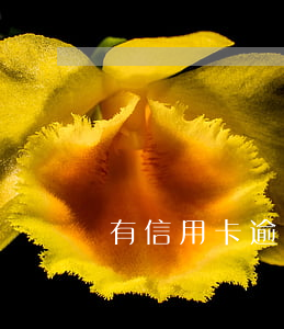 有信用卡逾期被抓的嗎(有信用卡逾期被抓的嗎)