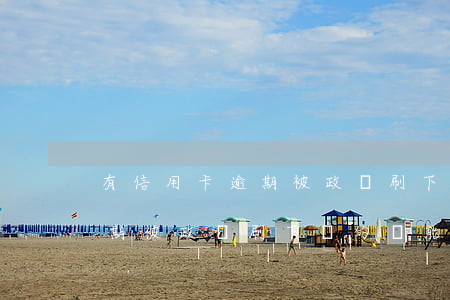 有信用卡逾期被政審刷下來的嗎(有信用卡逾期被政審刷下來的嗎能過嗎)