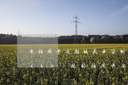有信用卡逾期被民事管制的嗎(不可抗力導(dǎo)致的信用卡逾期怎么辦)
