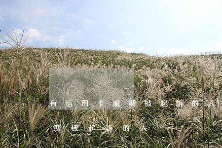 有信用卡逾期被起訴的人嗎(有沒有信用卡逾期被起訴的人)