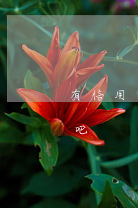 有信用卡逾期被起訴的嗎（信用卡逾期去起訴吧）