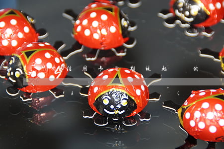 有信用卡逾期被起訴的嗎（信用卡逾期多長(zhǎng)時(shí)間會(huì)被取訴）