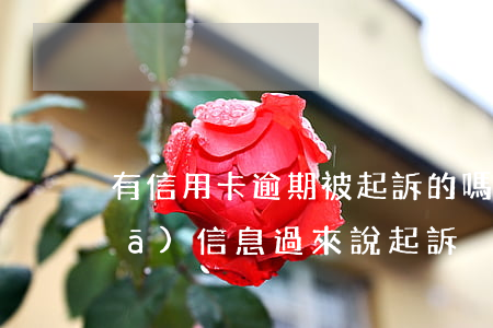 有信用卡逾期被起訴的嗎（信用卡逾期發(fā)信息過來說起訴）