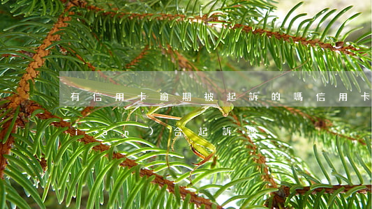 有信用卡逾期被起訴的嗎（信用卡逾期聯(lián)合起訴嗎）
