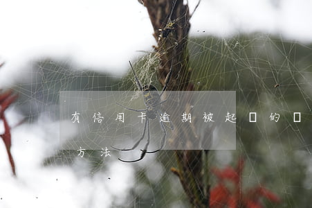 有信用卡逾期被起訴的嗎（信用卡逾期訴訟的方法）