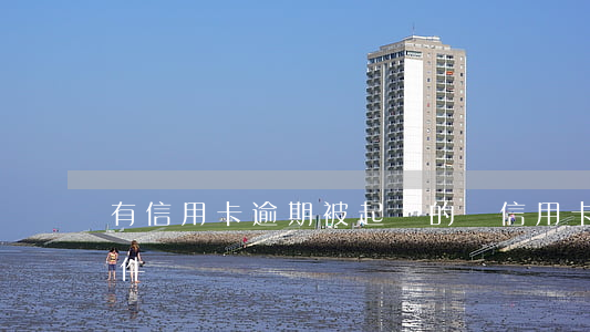 有信用卡逾期被起訴的嗎（信用卡逾期起訴郵件）