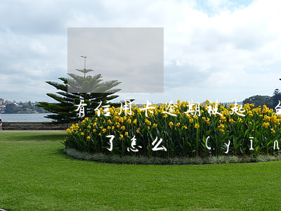 有信用卡逾期被起訴的嗎（信用卡逾期銀行起訴了怎么應(yīng)對）