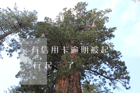 有信用卡逾期被起訴的嗎（我信用卡逾期被銀行起訴了）