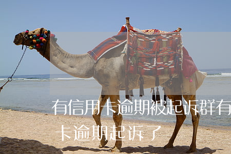 有信用卡逾期被起诉群(有律师联系我说信用卡逾期起诉了)