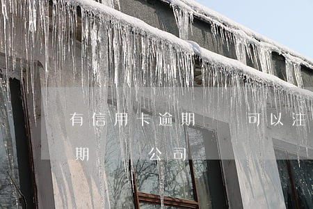 有信用卡逾期記錄可以注冊公司嗎（信用卡逾期開辦公司）