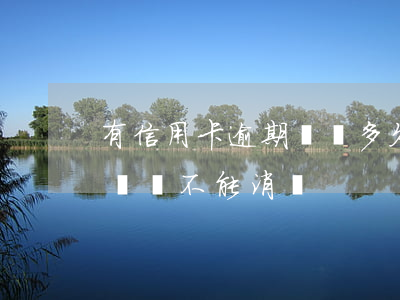 有信用卡逾期記錄多久可以消除（信用卡逾期記錄不能消嗎）